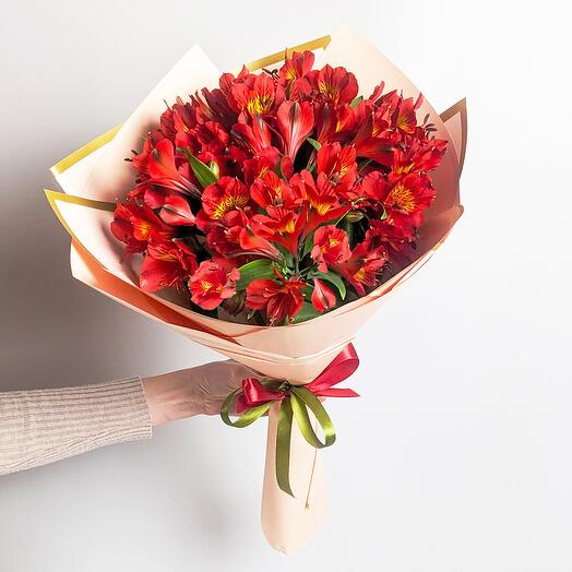 Red Alstroemeria