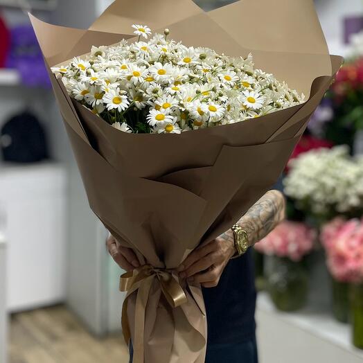 Buyuk boy kır papatya buketi