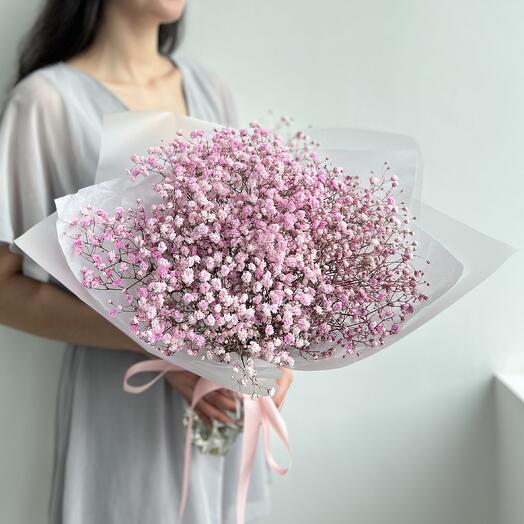 Bouquet of pink gypsophila