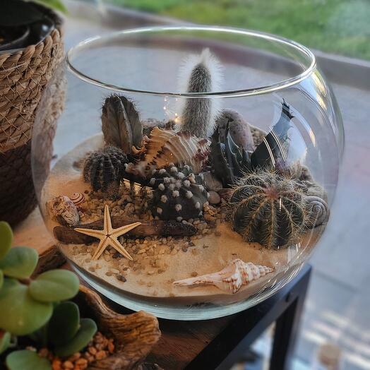 Флорариум с кактусами