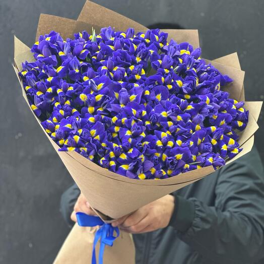 Ирис Magic Blue