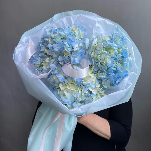 Пышные Гортензии