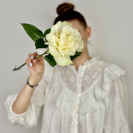 White Rose Inside Out – A Twist on the Traditional Beauty