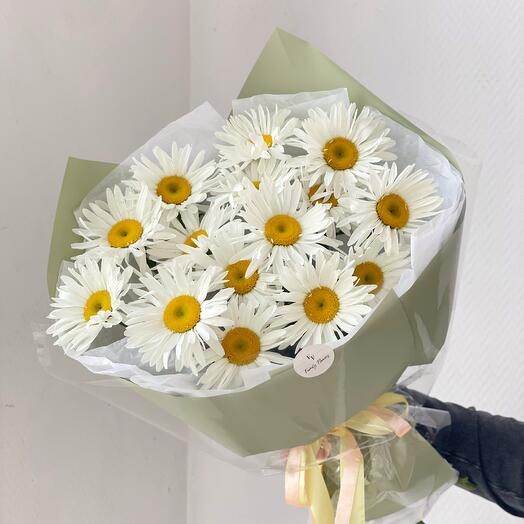 Big daisies 🌿