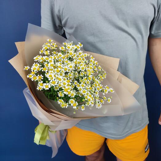 9 полевых ромашек