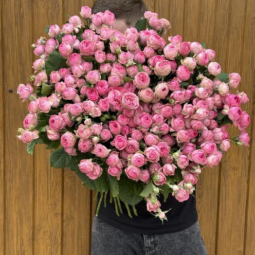 Топ 🌹🔥 Розы кустовые пионовидные