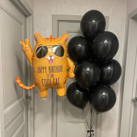 Набор Шаров Cool Cat с днем рождения