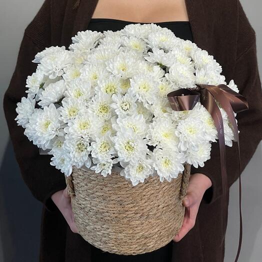 Цветы Букет Art Flowers Кустовые хризантемы в кашпо 9 шт