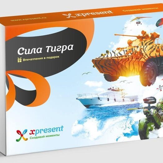 Подарочный набор «Сила тигра» (4 впечатления на выбор)