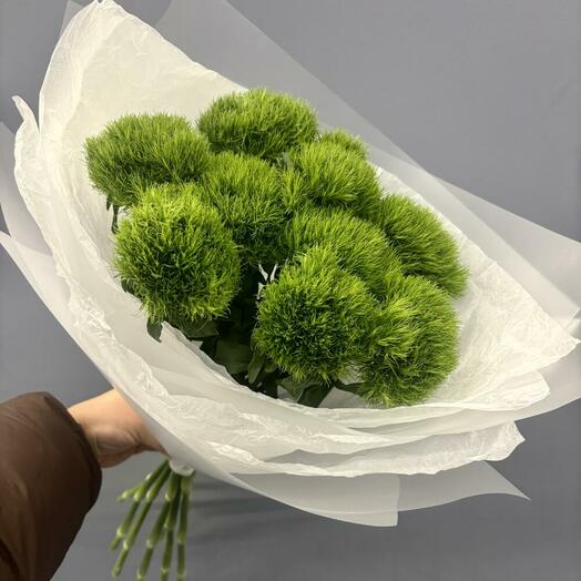 Диантус Киви Green Trick (L)