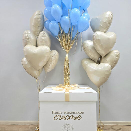 Коробка-сюрприз с воздушными шарами Гендер Пати