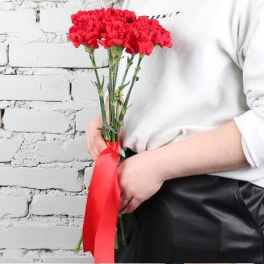 Bouquet of 9 red carnations