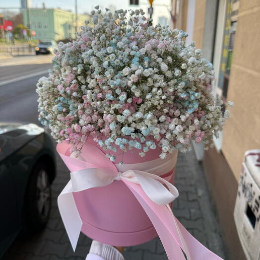 Гипсофила в коробке