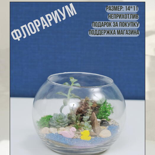 Флорариум "море волнуется, а я нет"