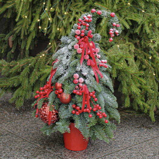 Новогодняя елочка «Новогодний шари XL» большая, из живой датской пихты. Подарок на Новый год