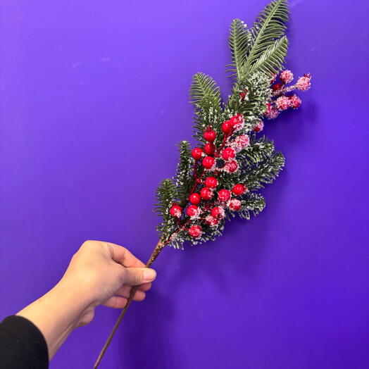 Веточка ели с ягодками