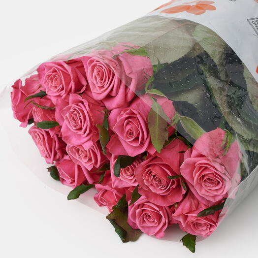 Пачка роз (15 штук) Кисс Ми Кейт, 50 см