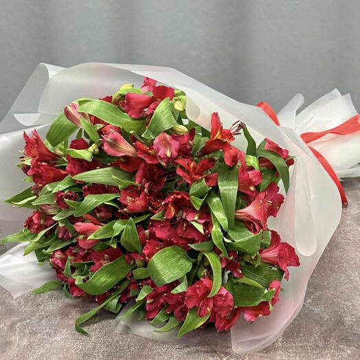 Alstroemeria