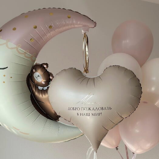 Шары для выписки девочки