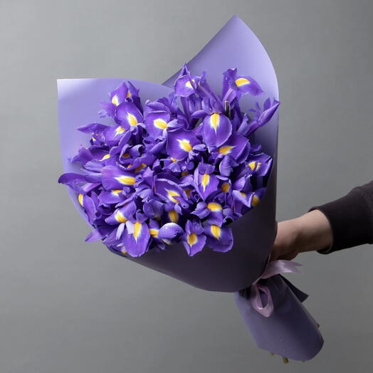 Букет из 35 ирисов