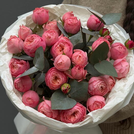 Spray rosess