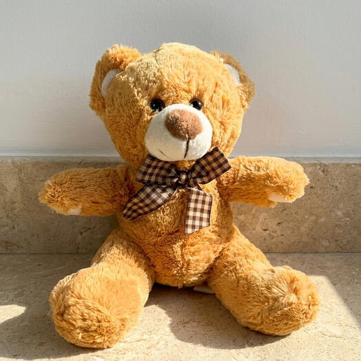 Carlitos Brown Teddy Bear