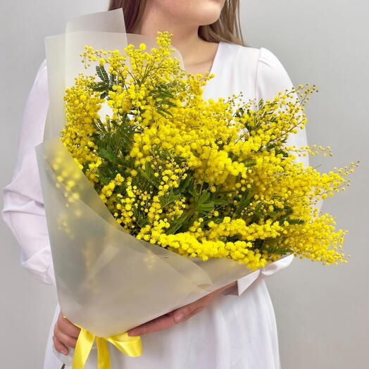Мимоза Золотой Букет