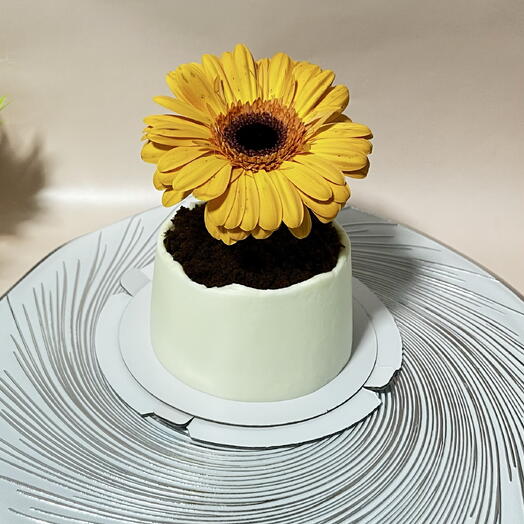 Бенто торт «Цветок в горшке»на 8 марта