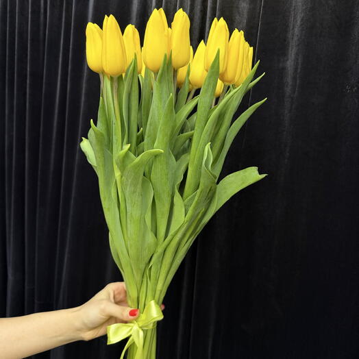 Тюльпаны желтые 21шт