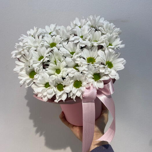 Моно композиция  из ромашковой  хризантемы S