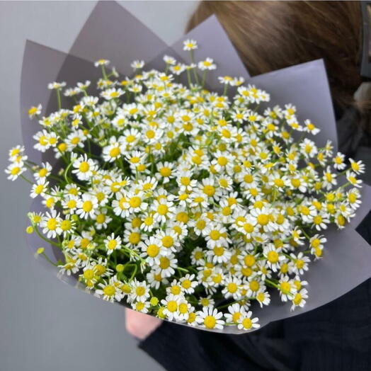 🕊️Легкий букет из танацетума 008