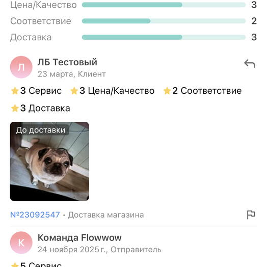 Тест дубли