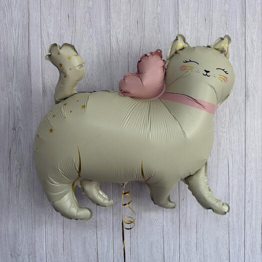 Шар кошечка
