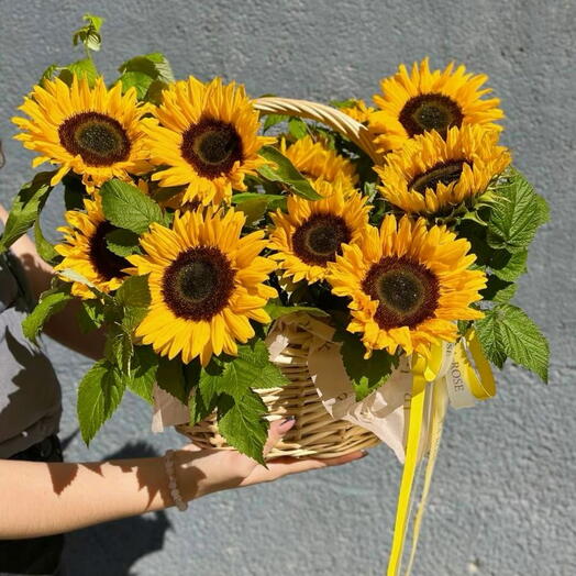 Шикарная корзина с подсолнухами и листьями малины