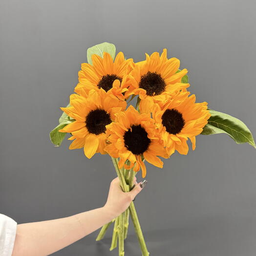 Крупные подсолнухи 5 шт 🌻
