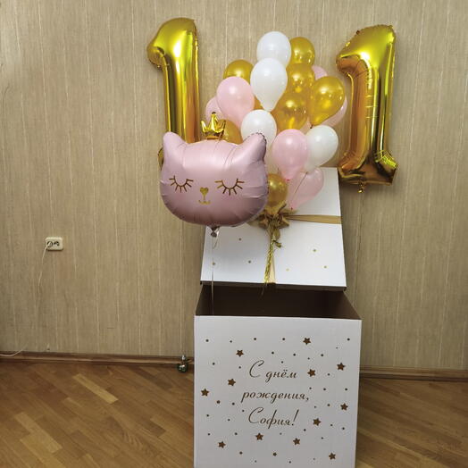 Коробка с мини-шариками, кошкой и цифрами