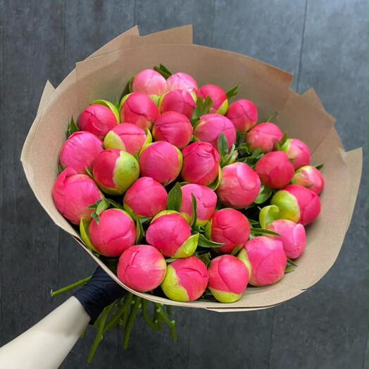 Пионы Коралловые 31 штука