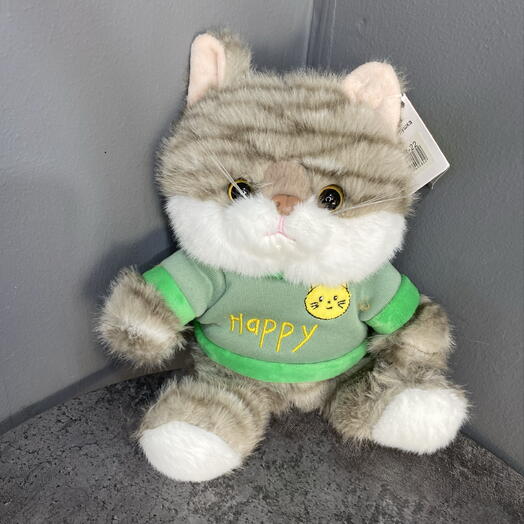 Мягкая игрушка полосатый кот