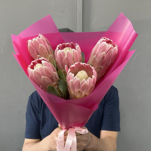 Протея 5 шт🌺