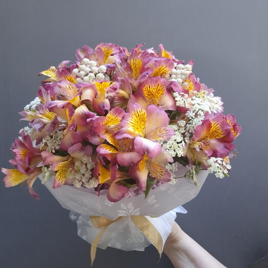Alstroemeria hills