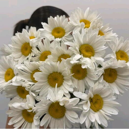 Букет из ромашек