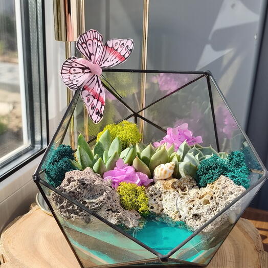 Florarium Hawaii gift