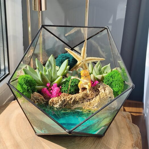 Florarium Marine Gift