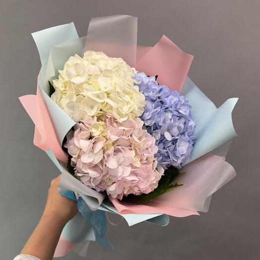 Exuberante ramo de Hortensias