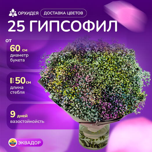 Букет 25 Гипсофил