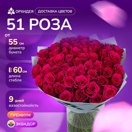 51 роза "Хот эксплорер"
