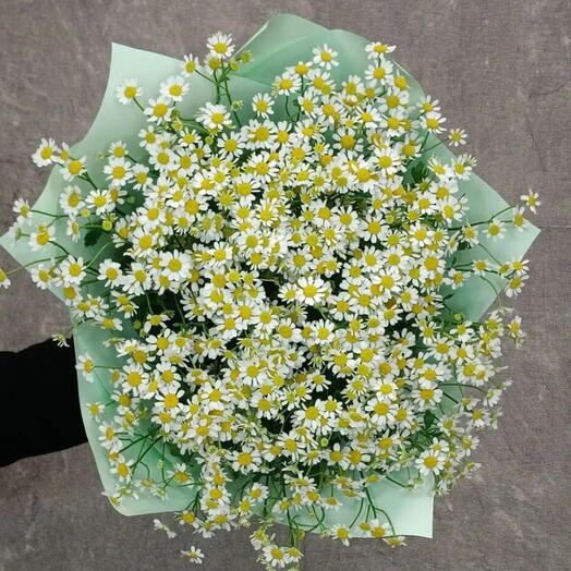 Веснушки