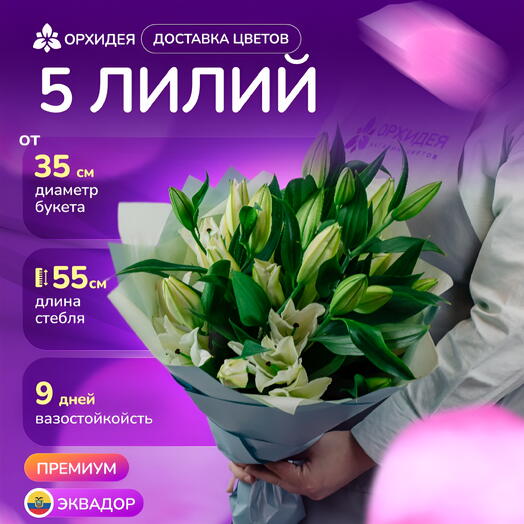 5 белых лилий