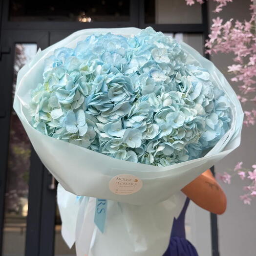 Авторский монобукет Mouse Flowers: гортензия