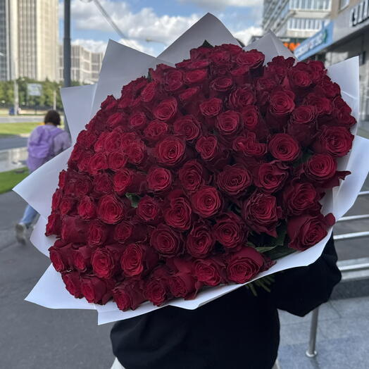Крупная бордовая Роза 101